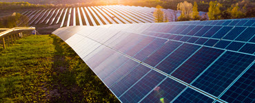 Solar panel and sunflower