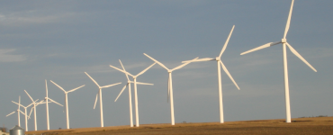 Row of wind turbines on a farm